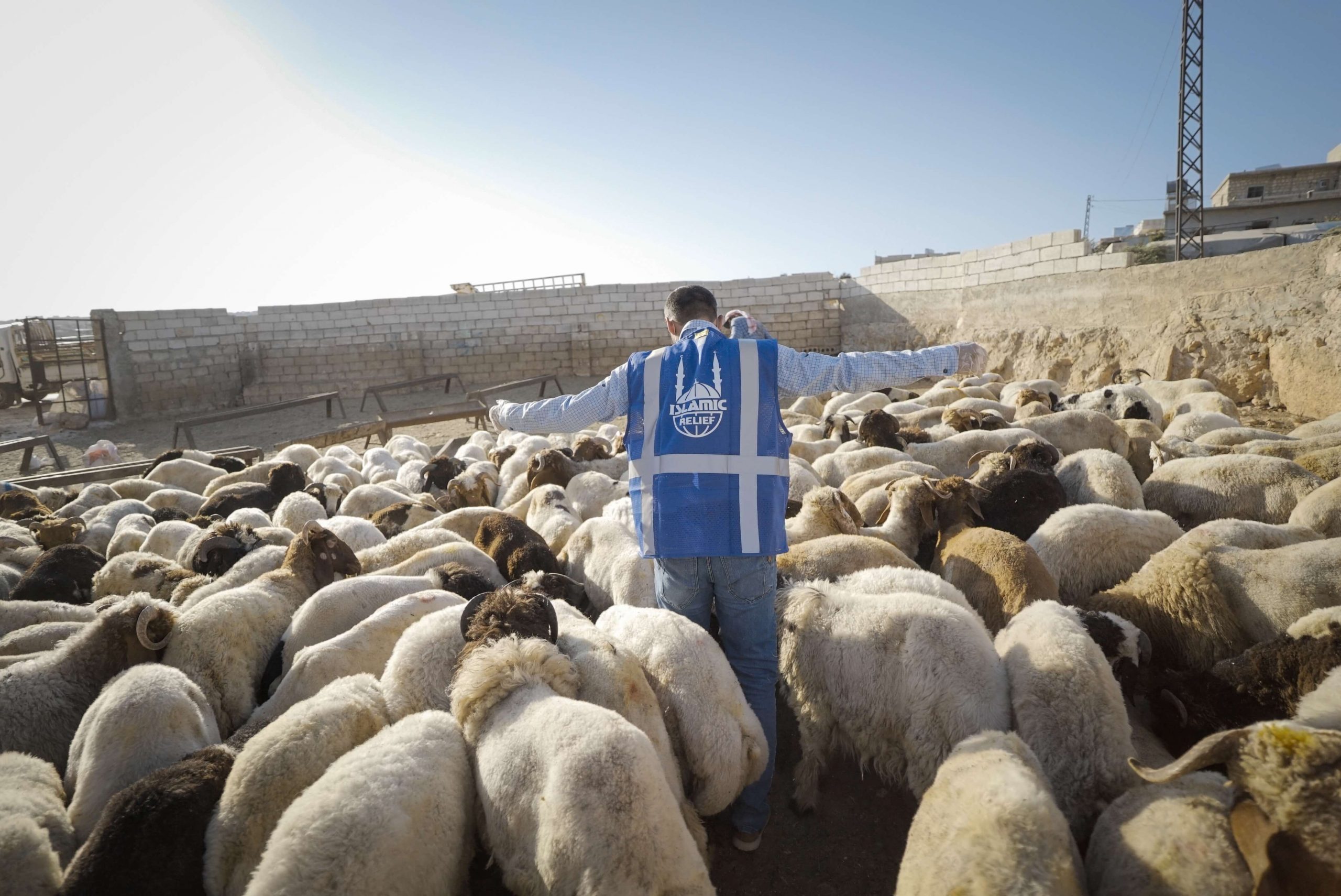 Share the Sacred Sacrifice - Islamic Relief SA 